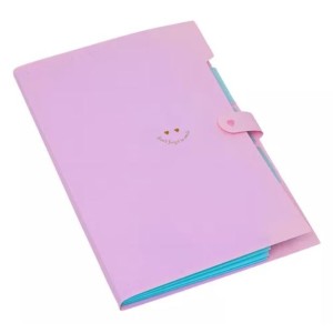 PASTA SANFONADA A4 5 DIVISÓRIAS ROSA PASTEL POLIBRAS